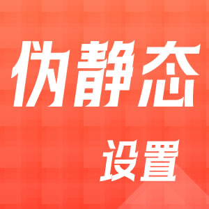 设置伪静态运行模式